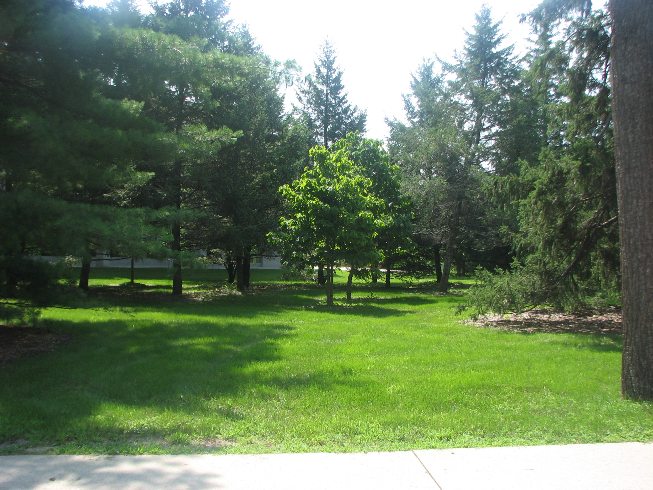 context photo